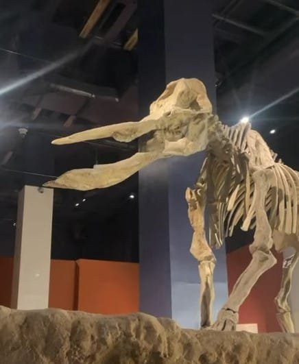 National Museum of Riyadh